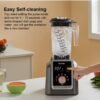 BioLoMix T5600 Professional 2200W high-performance blender with 2L Tritan jar