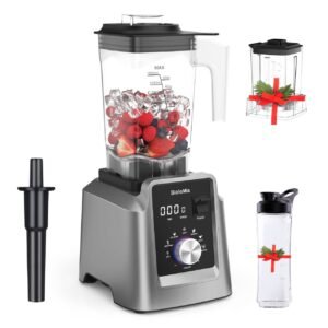 BioLoMix T5600 Professional 2200W high-performance blender with 2L Tritan jar