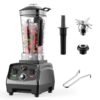 BioLoMix T5200 2200W high-performance blender with 2L BPA-free jar and six stainless steel blades